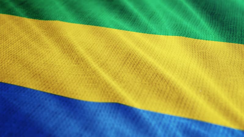Impôt sur le revenu : le cas du Gabon